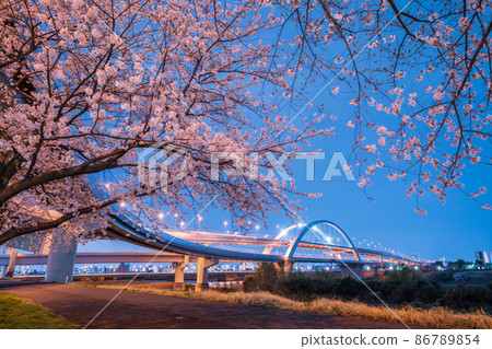 夜景“東京”五色櫻橋和港北JCT春景 夜景“東京”五色櫻橋和港北JCT春景 86789854