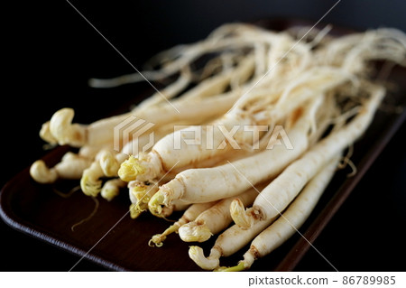 Korean ginseng 86789985