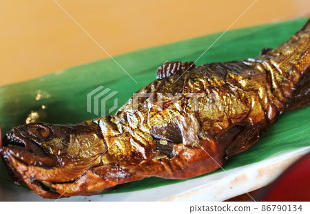 虹鱒魚的甘露尼 86790134