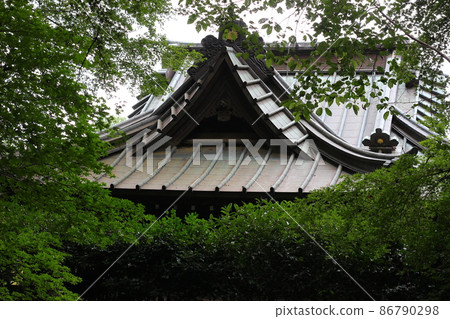 埼玉縣新座市：被綠色大自然包圍的平林寺。一座歷史悠久的古廟。 86790298