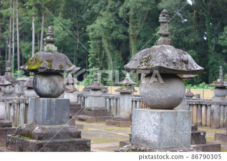 埼玉縣新座市：被綠色大自然包圍的平林寺。一座歷史悠久的古廟。 86790305