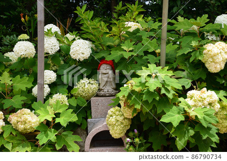 我去了二本松寺#95 86790734