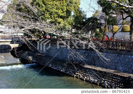 Walking around the Suimon River in winter ・ 4 (Ogaki City, Gifu Prefecture: The area around the back alley knot) Walking around the Suimon River in winter ・ 4 (Ogaki City, Gifu Prefecture: The area around the back alley knot) 86791423