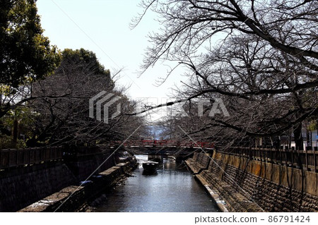 Walking around the Suimon River in winter ・ 5 (Ogaki City, Gifu Prefecture: The area around the back alley knot) Walking around the Suimon River in winter ・ 5 (Ogaki City, Gifu Prefecture: The area around the back alley knot) 86791424