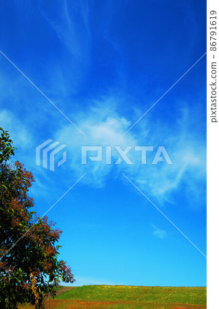 Scenery of blue sky and Arakawa bank 86791619