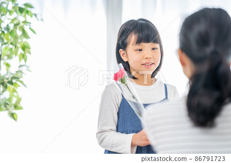 Girl giving carnations to her mother on Mother's Day 86791723