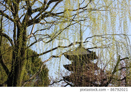 Toji - 5 - storied pagoda 86792021