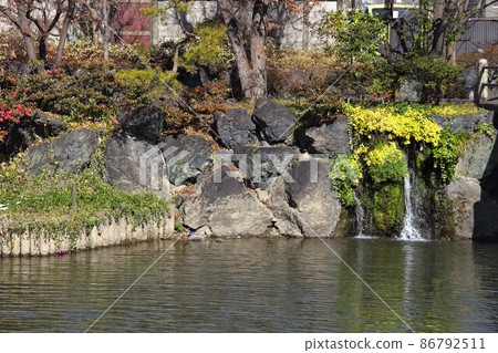 冬天的水門川散步·54(岐阜縣大垣市:後面的孕吐附近) 冬天的水門川散步·54(岐阜縣大垣市:後面的孕吐附近) 86792511