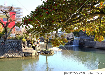 Walking around the Suimon River in winter ・ 58 (Ogaki City, Gifu Prefecture: The neighborhood of the morning sickness in the back Walking around the Suimon River in winter ・ 58 (Ogaki City, Gifu Prefecture: The neighborhood of the morning sickness in the back 86792517
