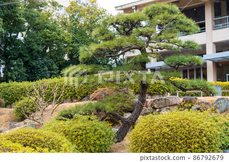Aigakuen 86792679