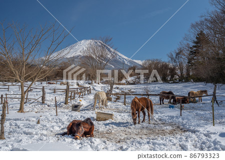 冬季牧場雪景富士山馬朝霧高原 86793323
