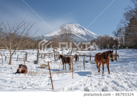 冬季牧場雪景富士山馬朝霧高原 冬季牧場雪景富士山馬朝霧高原 86793324