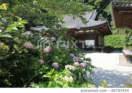 長法寺的繡球花 86793934