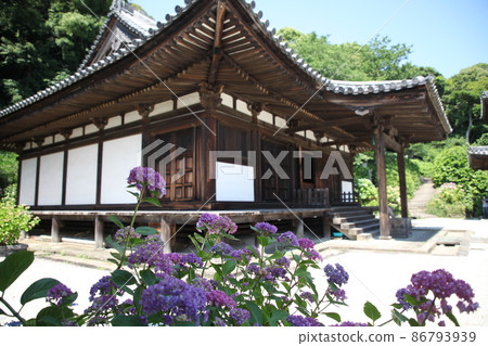 Hydrangea of Choho-ji Temple Hydrangea of Choho-ji Temple 86793939
