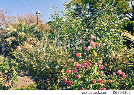 Hill Park where Yokohama · Harbor can be seen Hill Park where Yokohama · Harbor can be seen 86794302