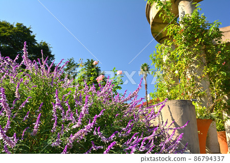 Hill Park where Yokohama · Harbor can be seen Hill Park where Yokohama · Harbor can be seen 86794337