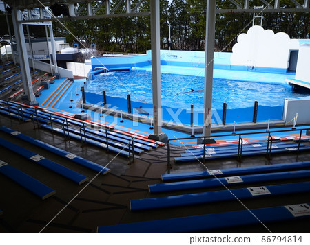 海豚表演池 海豚表演池 86794814