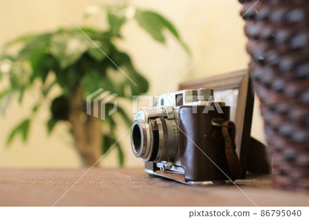 Houseplants and old cameras Houseplants and old cameras 86795040