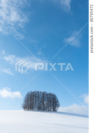 Biei-cho, Hokkaido in winter: Blue sky, white clouds and a mild seven tree that shines in the silver world 86795472
