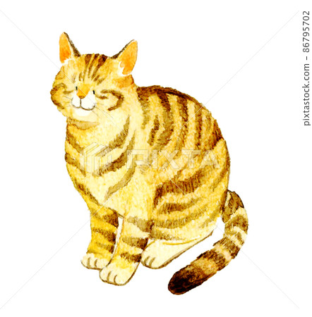 Cute hand-painted watercolor illustration of a cat, a sitting tea tabby cat seen from diagonally above Cute hand-painted watercolor illustration of a cat, a sitting tea tabby cat seen from diagonally above 86795702