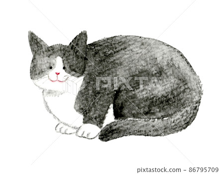 Cute hand-painted watercolor illustration of a cat, a gray bee cat that sits (squats) 86795709