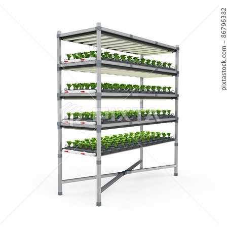 indoor farm system raised plants on shelves growth with led light indoor farm system raised plants on shelves growth with led light 86796382