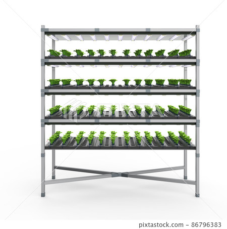 indoor farm system raised plants on shelves growth with led light indoor farm system raised plants on shelves growth with led light 86796383