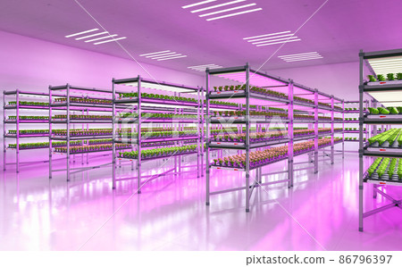 indoor farm system raised plants on shelves growth with led light 86796397