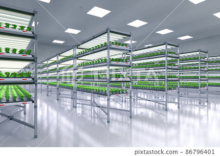 indoor farm system raised plants on shelves growth with led light 86796401