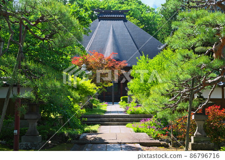 奧新野的遲來的春天：中野市西鄉寺的古剎本殿在新綠中顯得格外引人注目 86796716