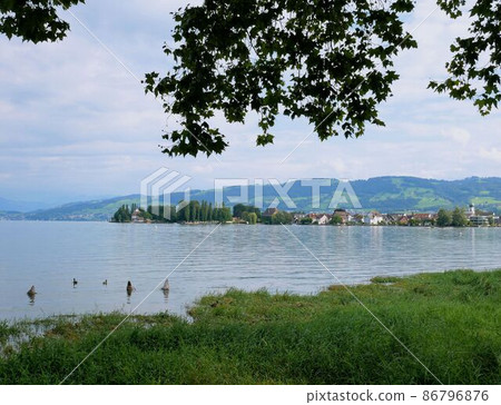 Landscape of Steinach and Lake Constance (Switzerland) 86796876