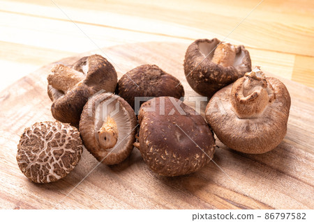Haruki Shiitake Haruki Shiitake 86797582