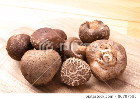 Haruki Shiitake 86797583