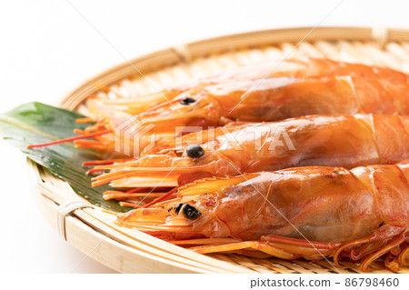 紅蝦 86798460