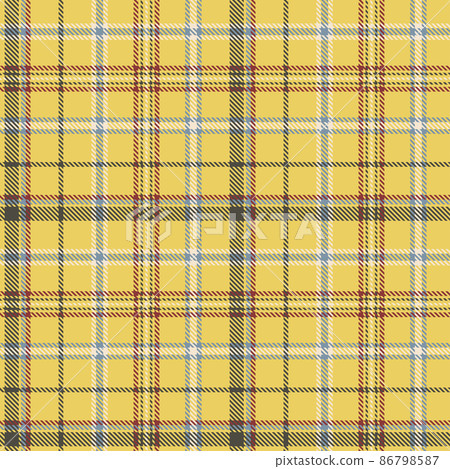 Plaid seamless pattern. Plaid seamless pattern. 86798587
