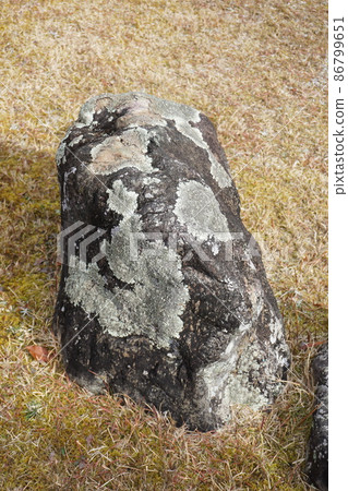 Parmotrema tinctor sticking to the rock 86799651