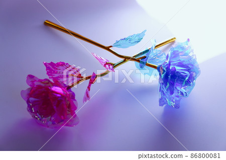 Beautiful transparent aurora roses 86800081