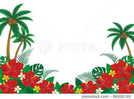 Tropical background hibiscus and palm trees 86800198