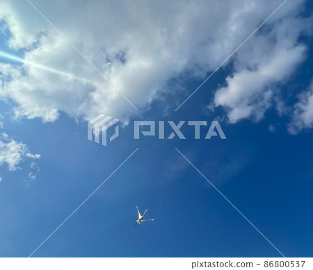 天空中飛翔的白鳥 天空中飛翔的白鳥 86800537