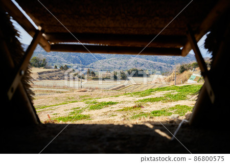 兵庫縣淡路島五島長垣遺址建築內部景觀 兵庫縣淡路島五島長垣遺址建築內部景觀 86800575