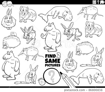 find two same comic animals game coloring book page 86800838