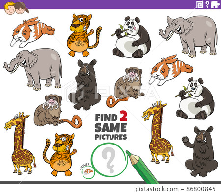 find two same cartoon animals educational game find two same cartoon animals educational game 86800845