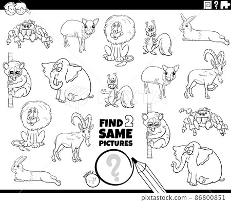 find two same cartoon animals task coloring book page find two same cartoon animals task coloring book page 86800851