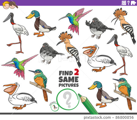 find two same cartoon birds educational task - Stock Illustration ...