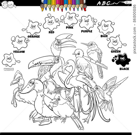 basic colors color book with group of cartoon birds basic colors color book with group of cartoon birds 86800886