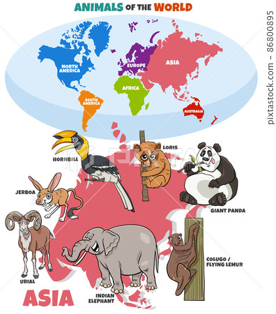 educational illustration with cartoon Asian animals educational illustration with cartoon Asian animals 86800895