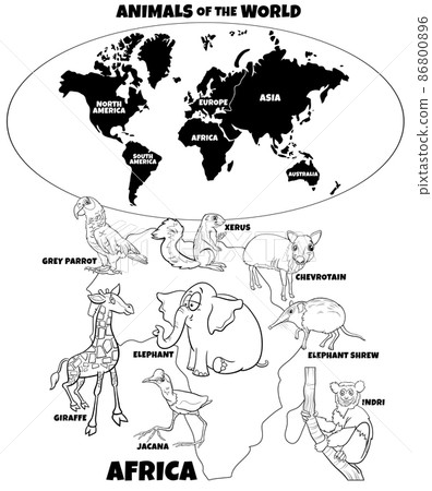 educational illustration with African animals coloring book page educational illustration with African animals coloring book page 86800896