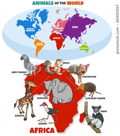 educational illustration with cartoon African animals educational illustration with cartoon African animals 86800897