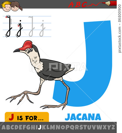 letter J from alphabet with cartoon jacana bird animal character 86800900