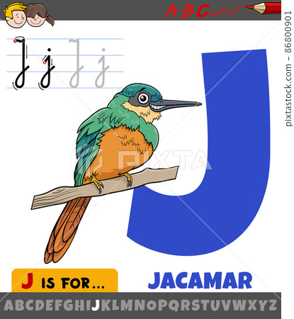 letter J from alphabet with cartoon jacamar bird animal character 86800901